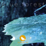 Blue forest